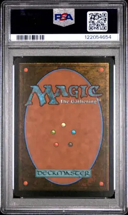 2025 Magic the Gathering MTG Final Fantasy IX EN #0306 Forest Foil PSA 8 NM - Image 2