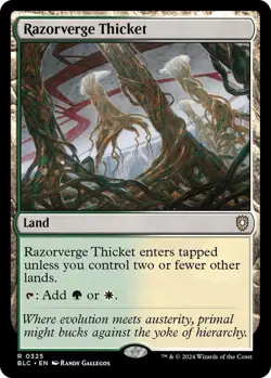 Razorverge Thicket MTG BLC 0325 Rare NM - Image 1