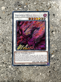 Yugioh TCG Bramble Rose Dragon DOOD-EN039 Secret Rare 1st Edition NM-M - Image 1