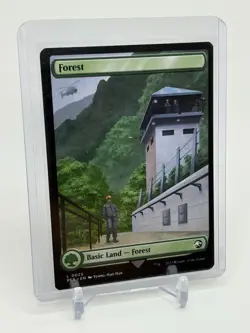 MTG - Forest - REX 0025 - Universes Beyond: Jurassic Park - Double Sided - Image 2