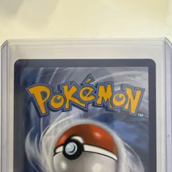 Pokemon Tcg Mega Lucario Ex 160/132 English Mega Evolution Ex - Image 5