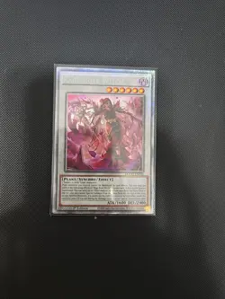 DOOD-EN040 "Rage Rose Witch" Starlight Rare YuGiOh - Image 1