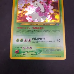Meganium Holo Neo Premium File Promo - Japanese Pokemon Card - 2000 - Image 4