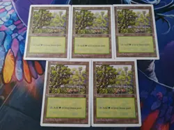 Basic Forest Set of 5 - Anthologies Arena Promo | 7% Off 2+ | LP | MTG - Image 1