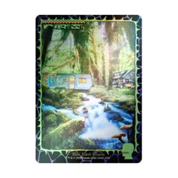 WOTC MtG Magic the Gathering Forest (1656) (Rainbow Foil) (R) (Foil) NM - Image 1