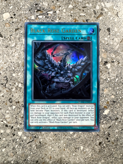 Yugioh TCG Black Rose Garden DOOD-EN055 Ultra Rare 1st Edition NM-M - Image 1