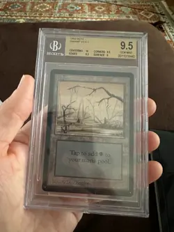 Magic: The Gathering - Gem Mint Beta Swamp - BGS 9.5 Graded Card - Image 2