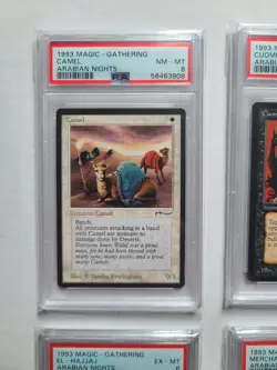 MTG 6 Arabian Nights 1993 PSA Graded Cards Cuombajj Witches El-hajjaj+ More LOOK - Image 3