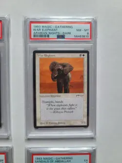 MTG 6 Arabian Nights 1993 PSA Graded Cards Cuombajj Witches El-hajjaj+ More LOOK - Image 5