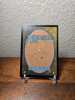 Windswept Heath MTG Modern Horizons 3 Regular - Image 2