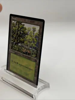 MTG Forest Arena League Promo (1996) Near Mint Never Played Magic The Gathering - Image 3