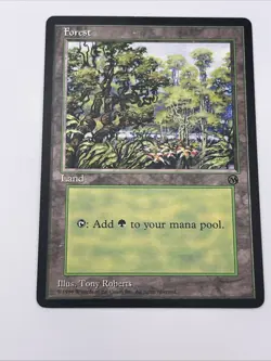 MTG Forest Arena League Promo (1996) Near Mint Never Played Magic The Gathering - Image 4
