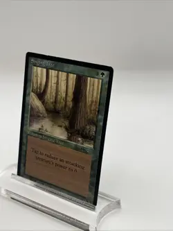 Singing Tree Arabian Nights MP Very Good Magic The Gathering Mtg - Image 3