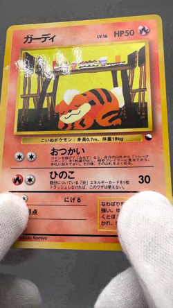 Growlithe No.058 Vending Series 3 Old back Vintage Glossy Japanese Pokemon Card - Image 2