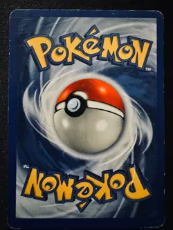 Vintage Pokemon cards: three grass type holo Pokemon cards from 2000 and earlier - Image 4