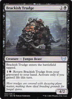 Brackish Trudge 065/275 MTG Magic The Gathering Common - Image 1
