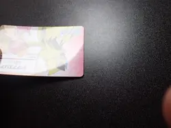 Pokemon Card Nagoya Railway Stamp Rally Promo 2018 Rarugo & Zeraora #4432 PLAY - Image 3