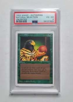 MTG Natural Selection 1993 Unlimited PSA 4 VG-EX Vintage Magic The Gathering RL - Image 1