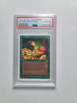 MTG Natural Selection 1993 Unlimited PSA 4 VG-EX Vintage Magic The Gathering RL - Image 2