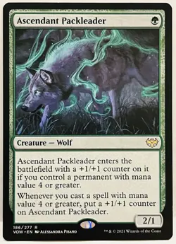 Ascendant Packleader -#186-MTG-Innistrad: Crimson Vow-Regular-LP - Image 1