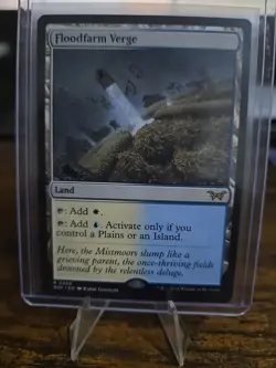 NM Regular Nonfoil - Floodfarm Verge #259 - Duskmourn: House of Horror MTG - Image 1