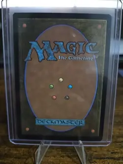 NM Regular Nonfoil - Floodfarm Verge #259 - Duskmourn: House of Horror MTG - Image 2