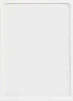 Tundra Wolves Proof MP Legends Artist Quinton Hoover 1994 MTG Magic AP Vintage! - Image 2