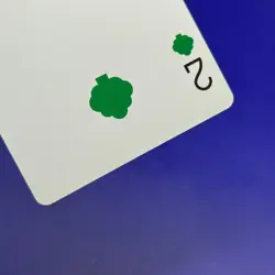 Club 2 Mayor Rukko Picopuri Village Diary Animal Crossing Playing Card - Image 5