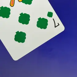 Club 7 Mayor Rukko Picopuri Village Diary Animal Crossing Playing Card - Image 5