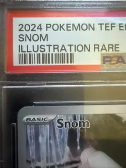 Snom #168/162 PSA 10 Gem Mint 2024 Pokemon SV Temporal Forces TEF EN - Image 2