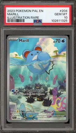 Pokemon Marill Paldea Evolved Illustration Rare #204 PSA 10 Gem Mint - Image 1