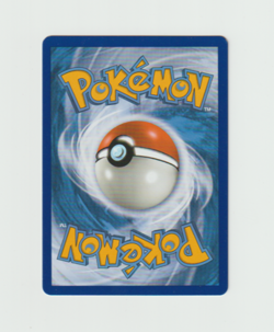 Pokemon Charizard & Braixen GX Tag Team Sun & Moon Promo SM230 Mint - Image 5