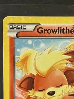 Growlithe RC4/RC25 Holo Legendary Treasures Radiant Collection Pokemon Card LP - Image 3