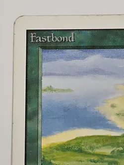 Fastbond MP/HP [Unlimited Edition] Mtg Magic - Image 2