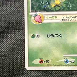 Turtwig 001/PPP PPP Promos Promo 2007 Japanese Pokemon Card LP - Image 5