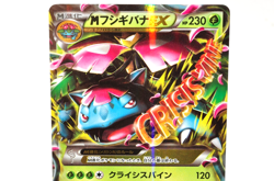 Pokemon card TCG M Venusaur EX 002/060 RR XY1 2013 Japanese Excellent - Image 2