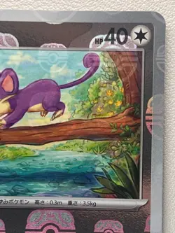 Rattata 019/165 SV2a C Master Ball Mirror Holo Pokemon Card 151 Japanese Ver - Image 3
