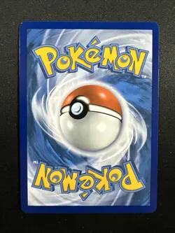 Iron Leaves ex 203/162 Sv05: Temporal Forces Holo Pokemon English - Image 2