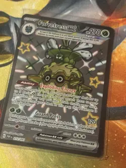 9 Card Lot Greninja Ex Tyranitar Ex Shiny TCG Pokemon Cards NM. Free Shipping - Image 3