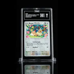 TAG 9.0 MINT Eevee 2024 Pokemon Pokemon Scarlet & Violet #050 - Image 1