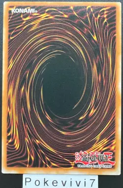 Carte YU-GI-OH! PALADINS OF BONDS AND UNITY SUDA-EN000 QCSR - Image 2