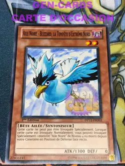 CARTE Yu Gi Oh AILE NOIRE - BLIZZARD, LA TEMPETE D'EXTREME NORD DP11-FR - Image 1