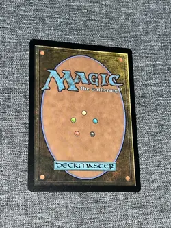 MTG, Forest Non-Foil (0193) Full Art Borderless Marvel's Spider-Man SPM - Image 2