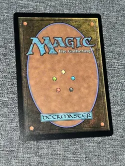 Plains (0189) Marvel's Spider-Man Non-Foil MTG L SPM EN - Image 2
