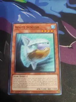 Yugioh - White Sunfish - MP25-EN304 - Common - NM/M - Image 1