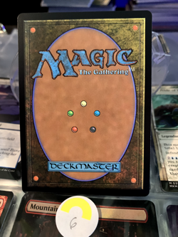 MTG Magic the Gathering Guardian Gladewalker (174/551) Kaldheim NM - Image 2