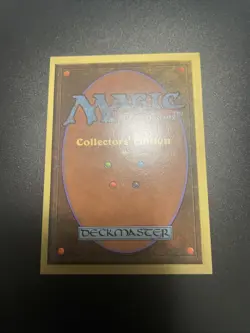 Ice Storm (CE) Collector's Edition Regular - Image 4