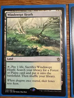 4x Windswept Heath - Khans of Tarkir - NM/LP - Magic the Gathering Playset - MTG - Image 2