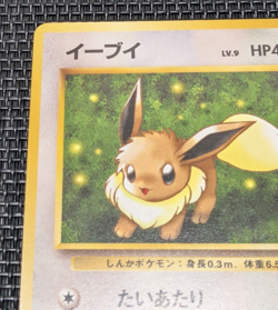 Pokemon card Japanese Eevee No.133 Lv.9 HP40 Nintendo Old Back (P527) Japan -NM- - Image 5