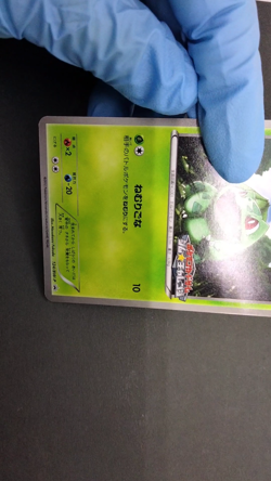 Bulbasaur Gym Challenge Promo 2012 124/BW-P Lightly Played Japanese Pokemon Card - Image 2